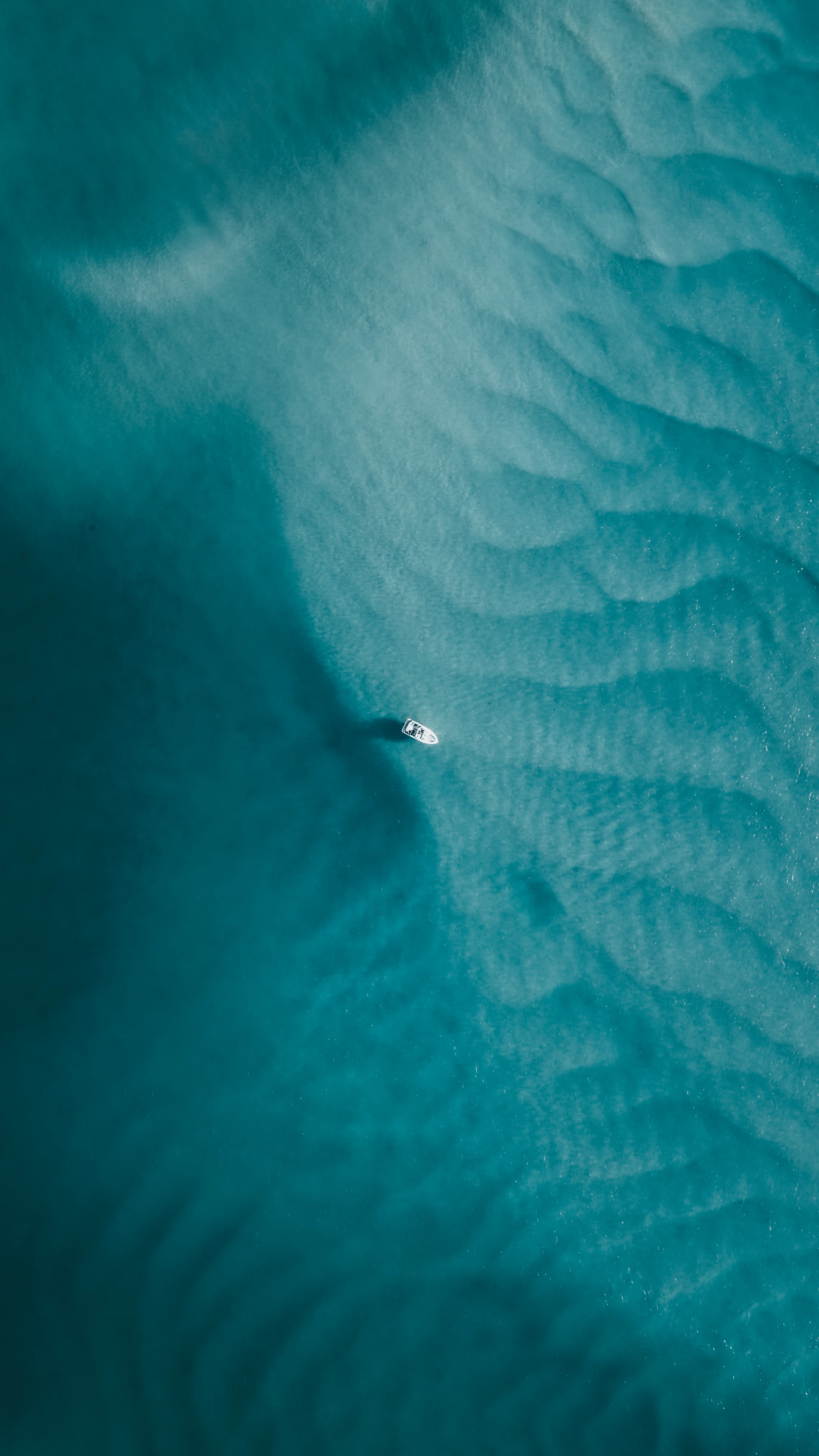 Noosa aerial greenery