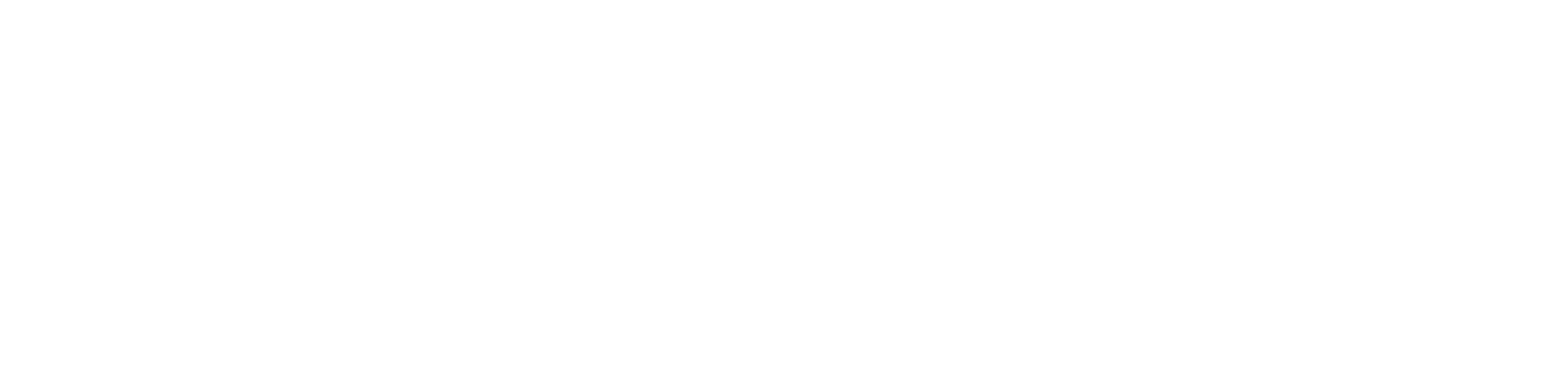 Voyager Media